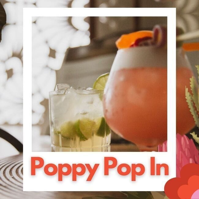 Poppy Pop In
