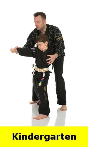 NSW Active Kids Partnership