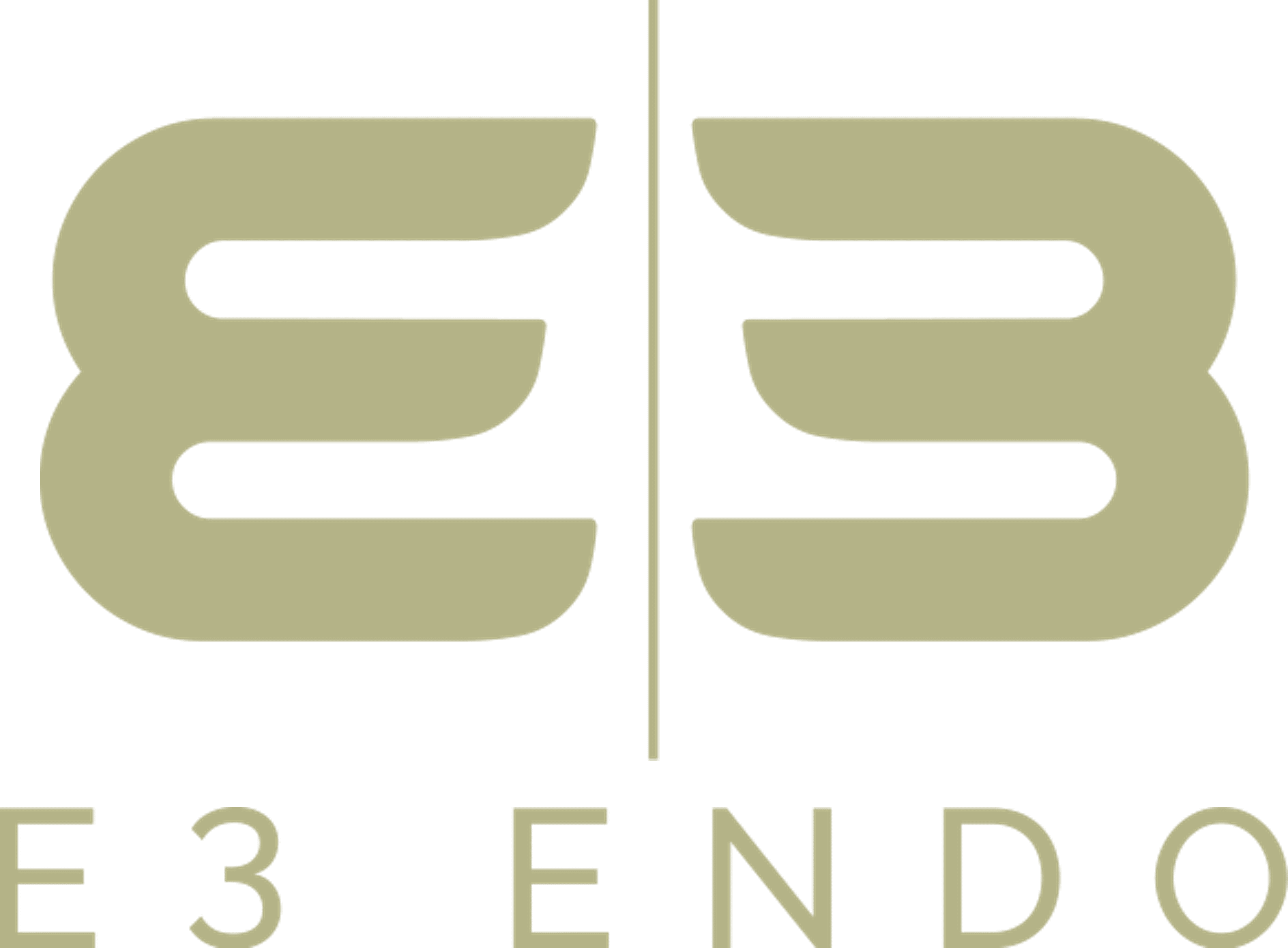 E3Endo E3Endo