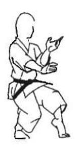 Modern Martial Arts Grading