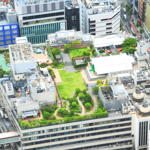 Green Roofs | MRA Roofing & Construction Green Roofing