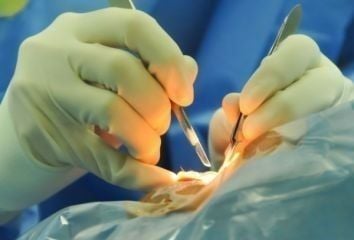 Skin Cancer Masterclass: Dermatology, Surgery & Suturing  Workshop