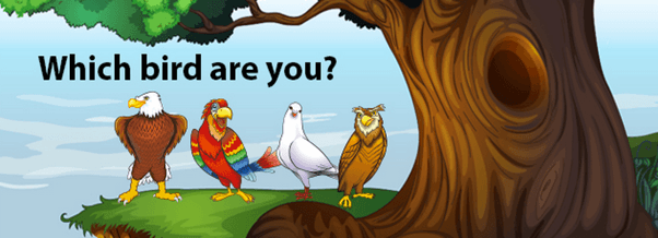 Taking Flight with DISC Public Half Day Workshop  - Workplace Communication & Positive Relationships Workshop Template Taking Flight with DISC Public Half Day Workshop  - Workplace Communication & Positive Relationships Workshop Template