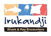 Family School Holiday  Irukandji Shark & Ray Encounter