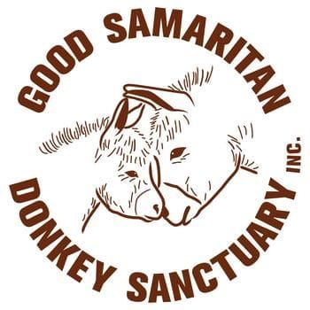 Good Samaritan Donkey Sanctuary - Public Day Tour