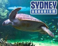 SEA LIFE Sydney Aquarium (South Side Suburbs)