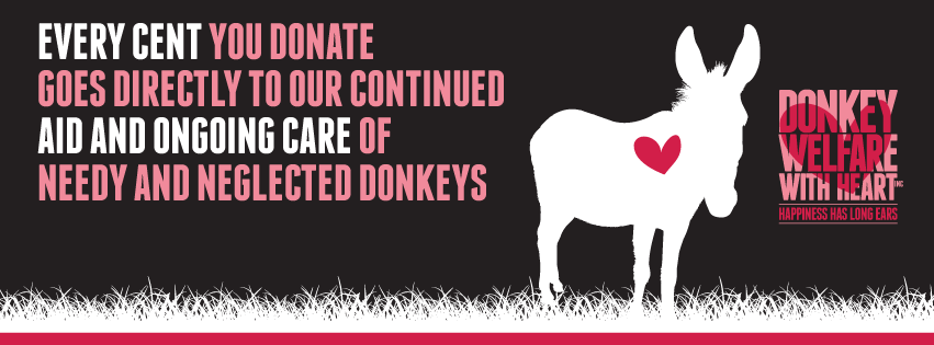 Donkey Welfare with Heart