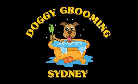 Recent Work: Dog Grooming