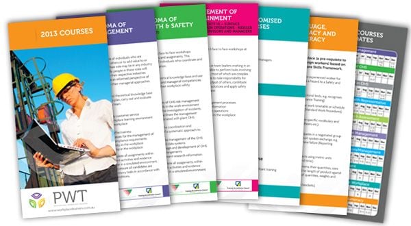 Recent Work: Professional Workplace Trainers