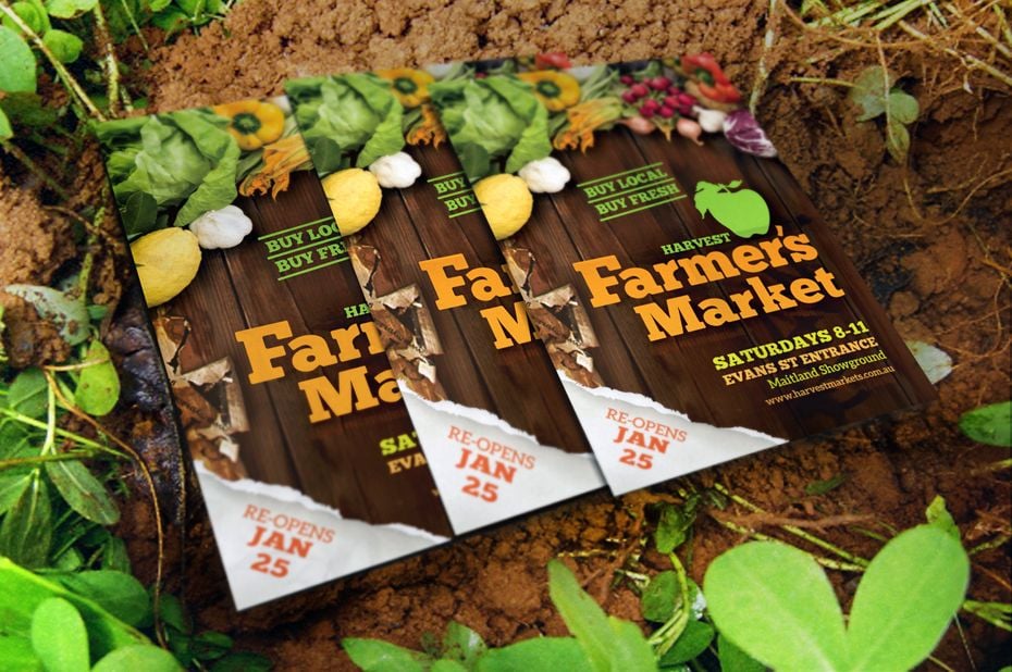 Recent Work: Marketing Collateral