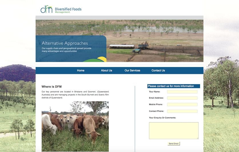 Recent Work: Diversified Foods Website