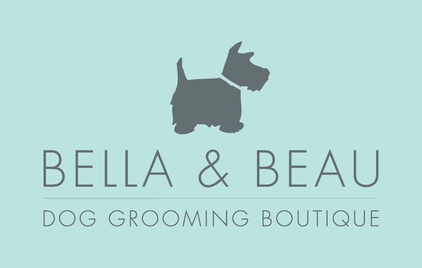 Recent Work: Bella & Beau
