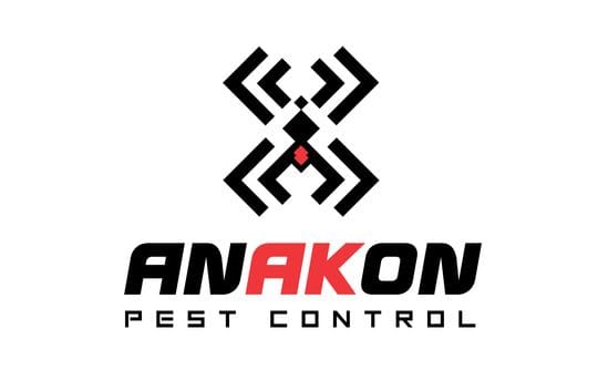 Recent Work: Anakon Pest Control - logo design