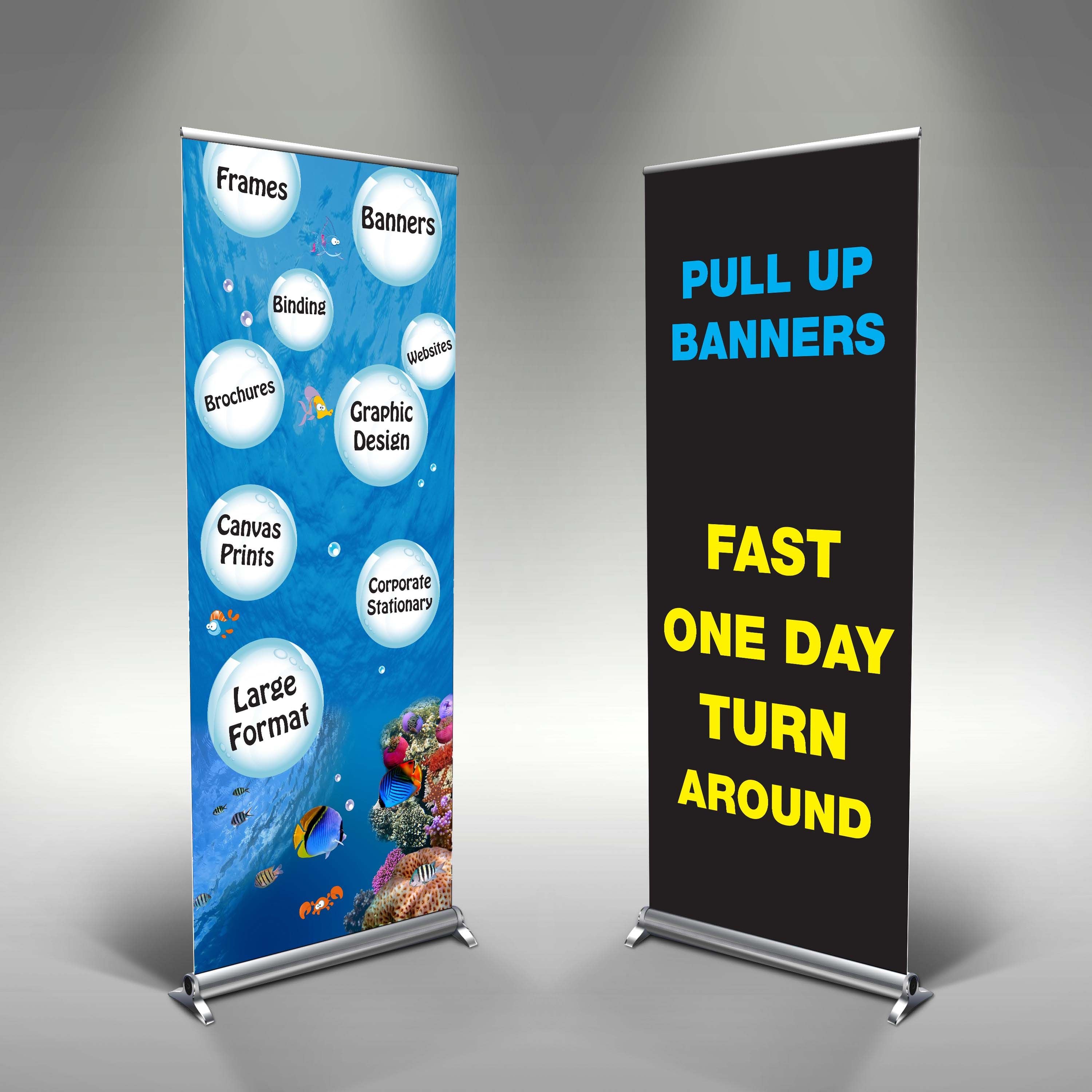 Recent Work: Pull Up Banners