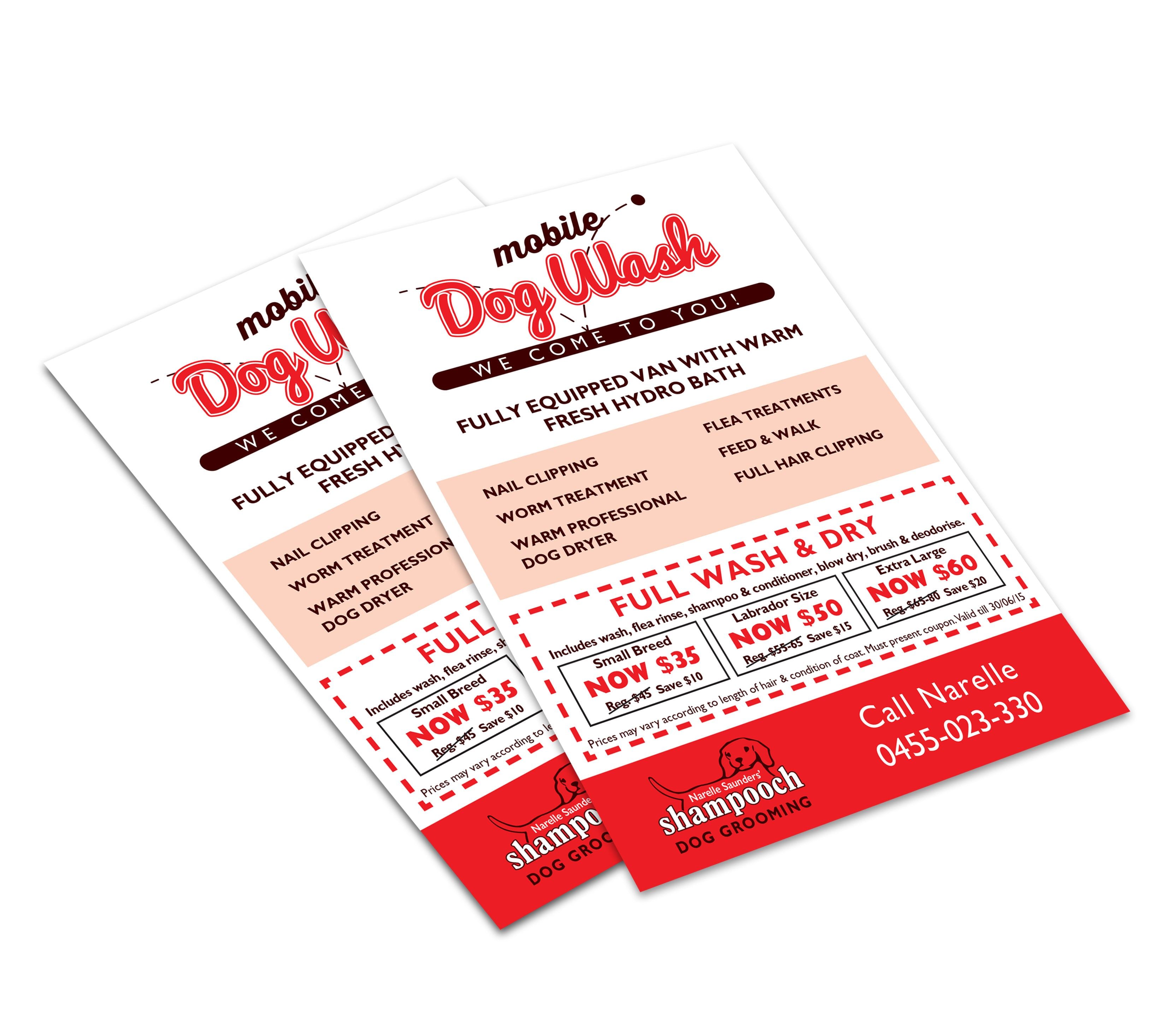 Recent Work: A6 Flyer