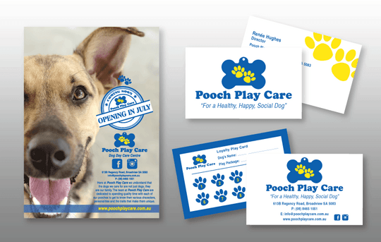 Recent Work: Pooch Play Care