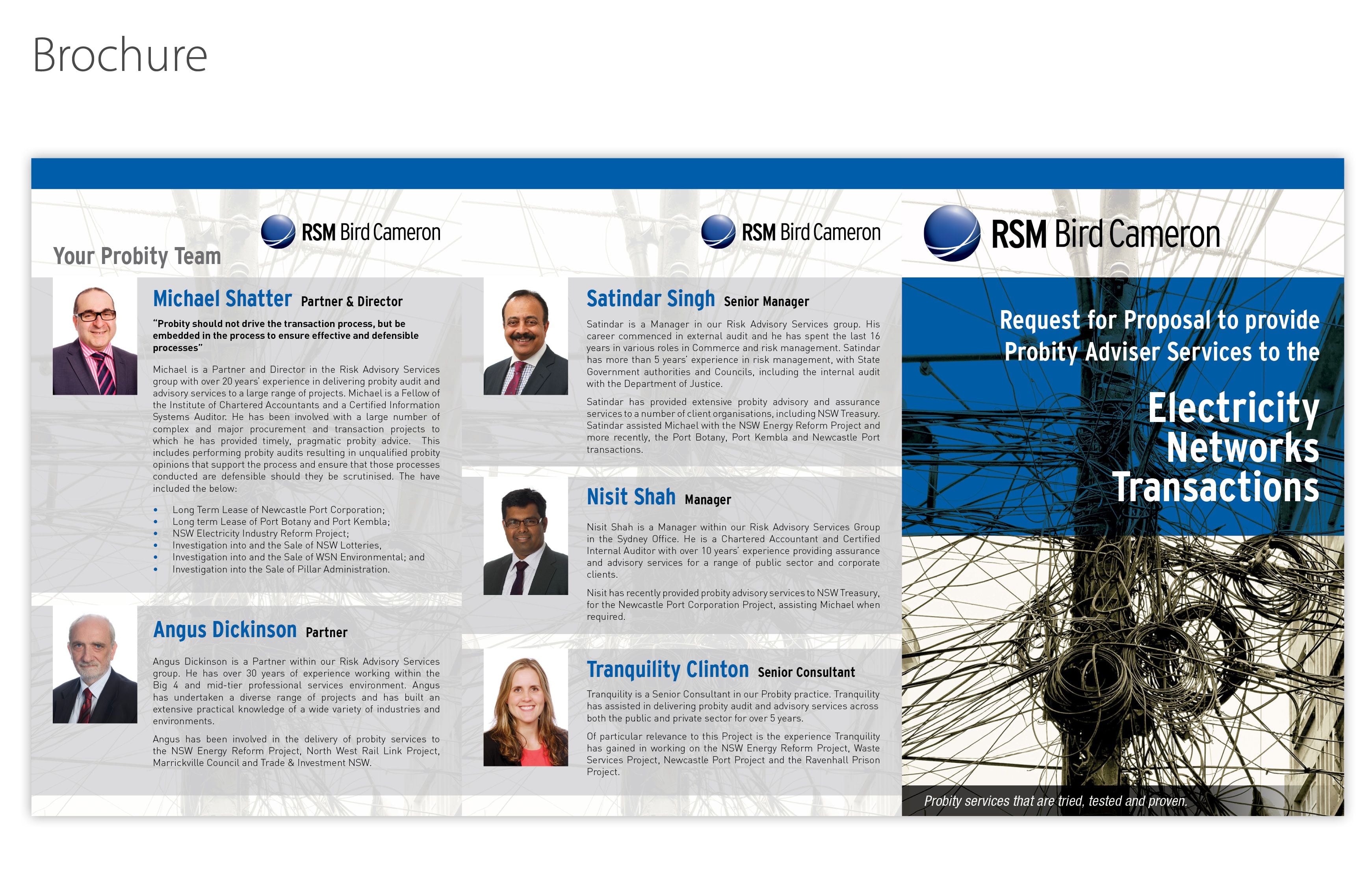 Recent Work: Brochures