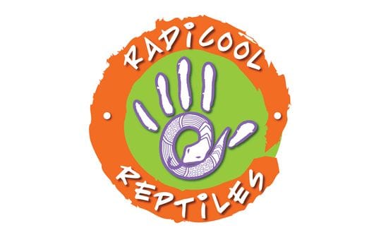 Recent Work: Radicool Reptiles - Brand Design