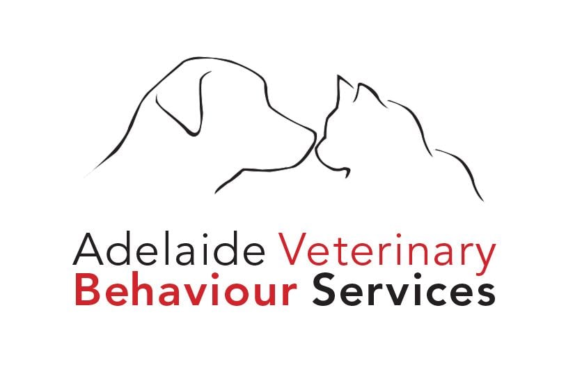 Recent Work: AVBS - Brand Design