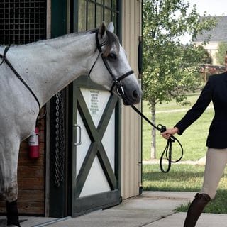 Experts Who Elevate—Ashley Farrell, Equestrian Manager at Salamander Resort & Spa
