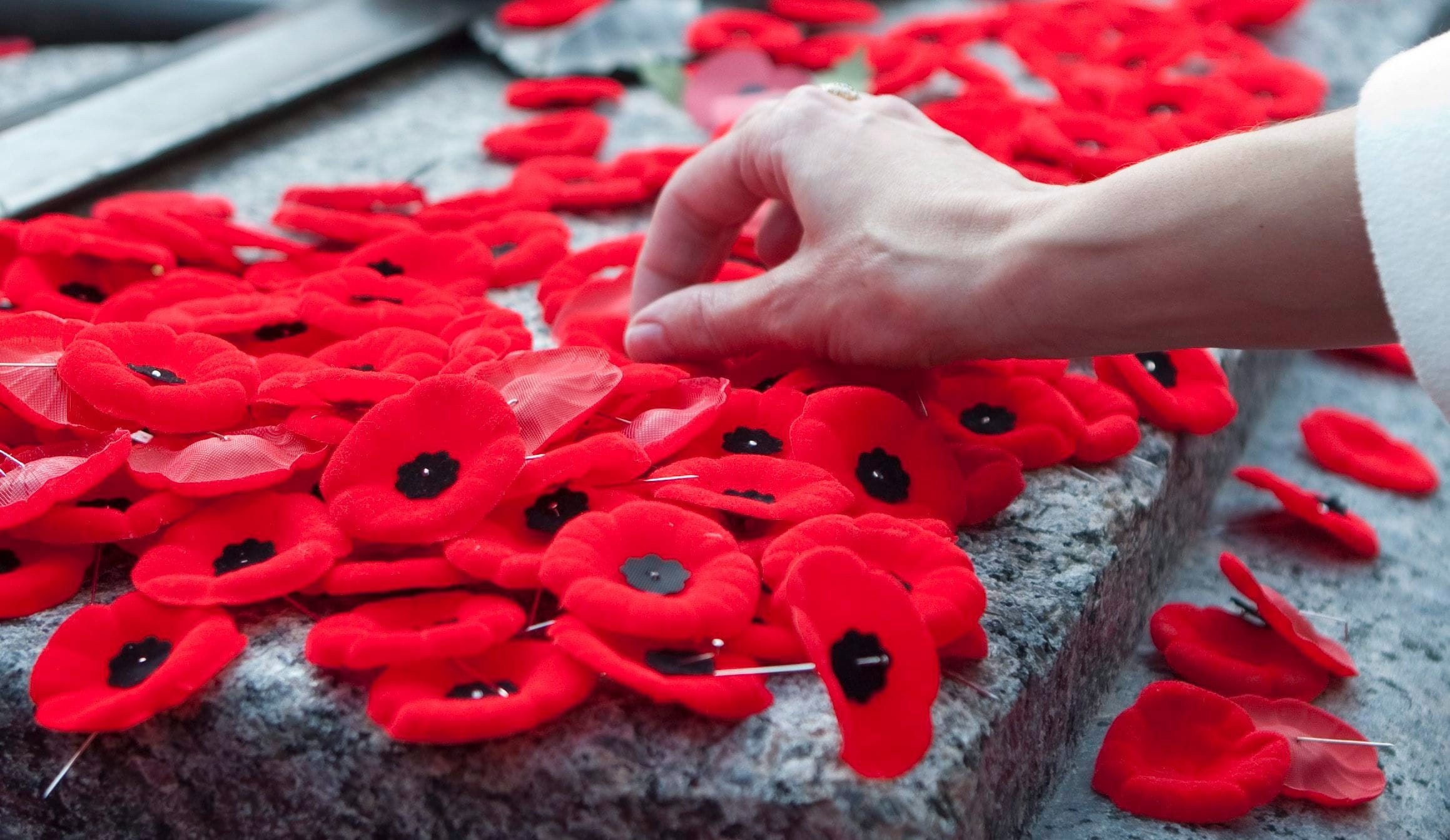 November 11, Canadians pause in a moment of silence to honour and remember the men and women who have served