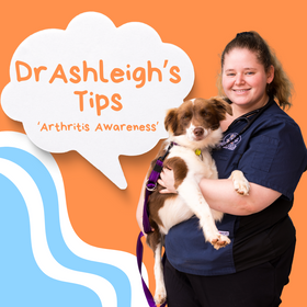 Understanding Arthritis in Our Pets: Expert Insights from Dr. Ashleigh