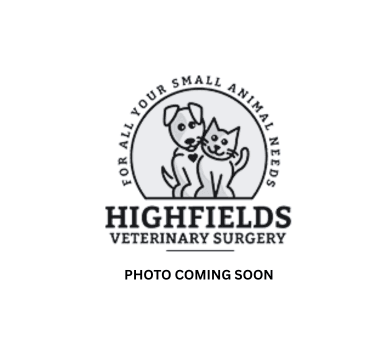 Dr Amanda Veterinary Surgeon | BVetBiol, BVSc, LLB