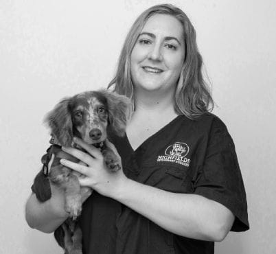 Dr Alanna Harth, Veterinarian at Highfields Vet Surgery in Toowoomba