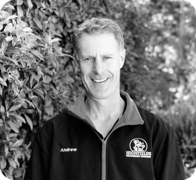 Andrew Brown, Business Owner Manager at Highfields Vet Surgery Andrew Brown, Business Owner Manager at Highfields Vet Surgery