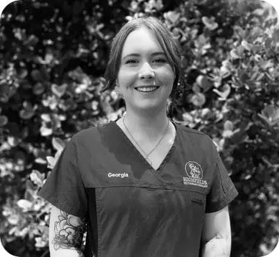 Georgia Stenzel, Head Nurse at Highfields Vet Surgery in Toowoomba Georgia Stenzel, Head Nurse at Highfields Vet Surgery in Toowoomba