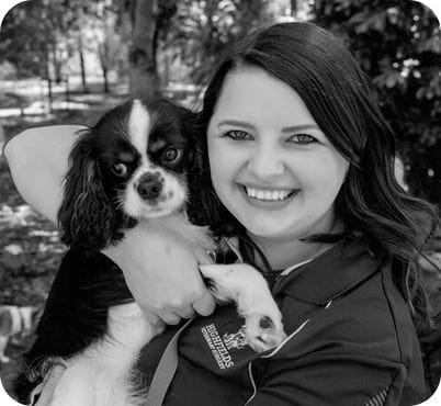 Charissa Collins, Vet Nurse at Highfields Vet Surgery in Toowoomba Charissa Collins, Vet Nurse at Highfields Vet Surgery in Toowoomba