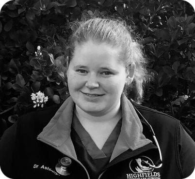 Dr Ashleigh Moon, Veterinarian at Highfields Vet Surgery in Toowoomba