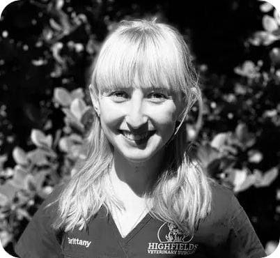 Brittany Berthelsen, Vet Nurse & Customer Care at Highfields Vet Surgery in Toowoomba Brittany Berthelsen, Vet Nurse & Customer Care at Highfields Vet Surgery in Toowoomba