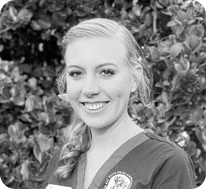 Annaleys Bennett, Vet Nurse & Customer Care at Highfields Vet Surgery in Toowoomba Annaleys Bennett, Vet Nurse & Customer Care at Highfields Vet Surgery in Toowoomba