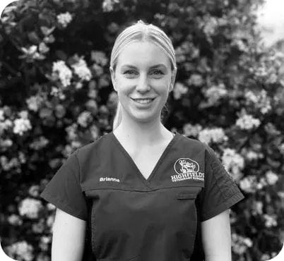 Brianna Miller, Vet Nurse at Highfields Vet Surgery in Toowoomba Brianna Miller, Vet Nurse at Highfields Vet Surgery in Toowoomba