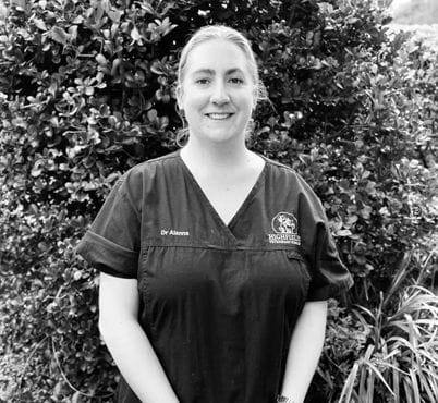 Dr Alanna Harth, Veterinarian at Highfields Vet Surgery in Toowoomba