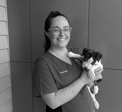 Courtney, Veterinary Nurse at Highfields Vet Surgery in Toowoomba