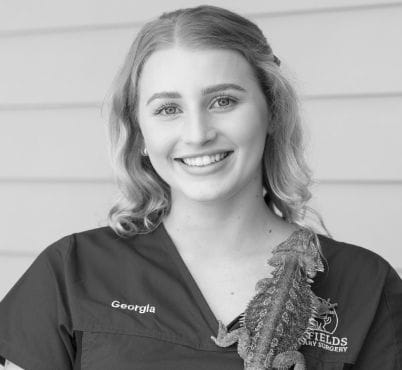 Georgia Marsh, Vet Nurse & Customer Care at Highfields Vet Surgery in Toowoomba Georgia Marsh, Vet Nurse & Customer Care at Highfields Vet Surgery in Toowoomba