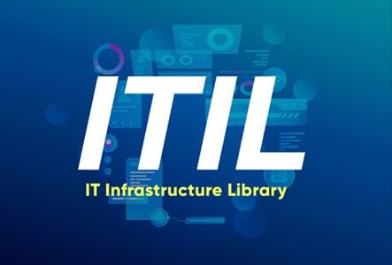 The ITSM Piccata Recipe The ITSM Piccata Recipe