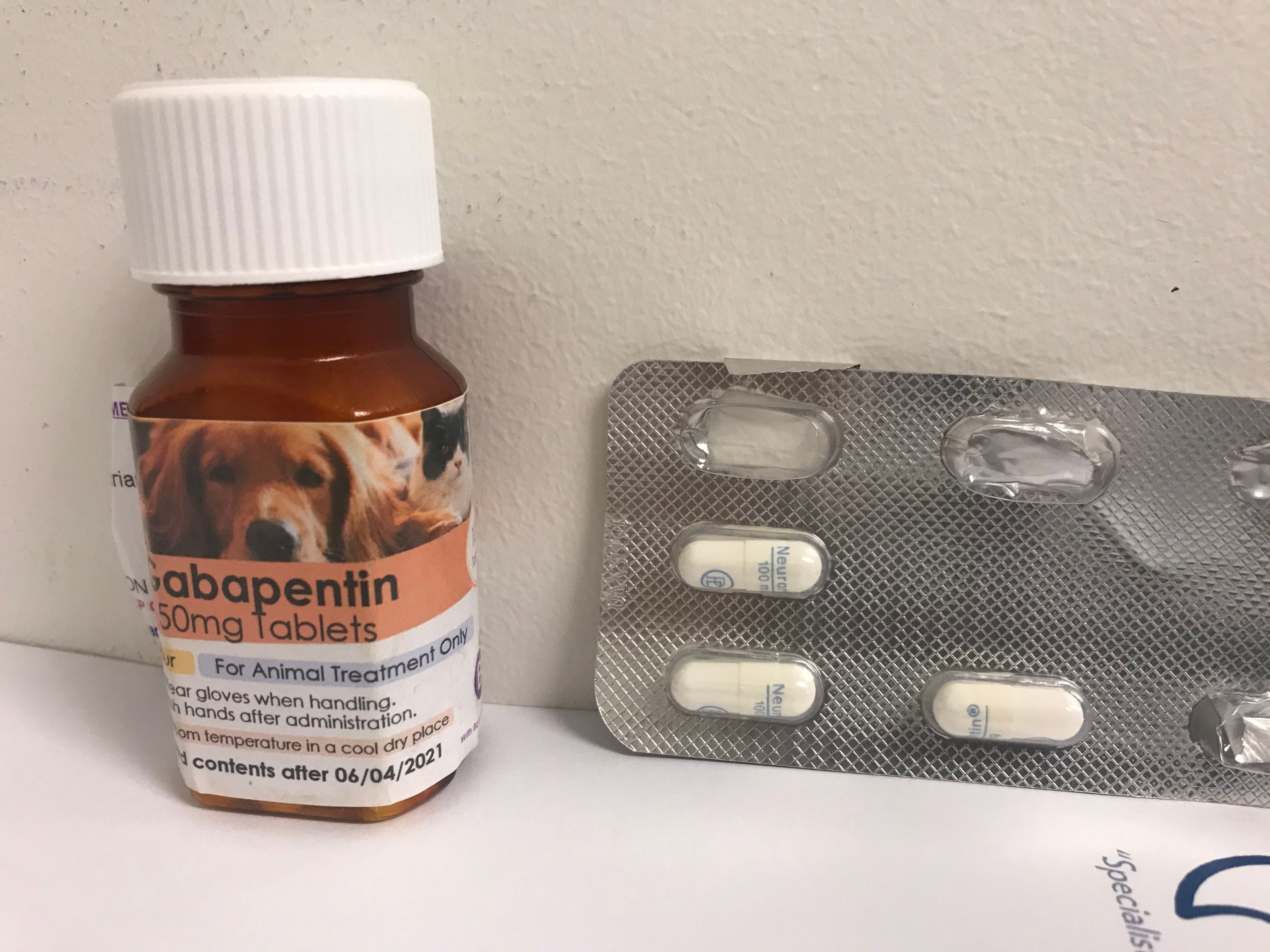 gabapentin cats ckd gabapentin cats ckd