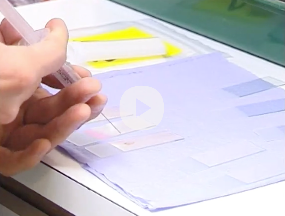 microscope slides