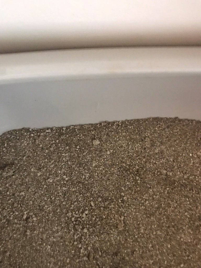 crystal cat litter