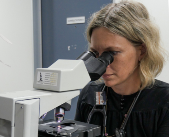 Laboratory testing at Cat Specialist Services Laboratory testing at Cat Specialist Services