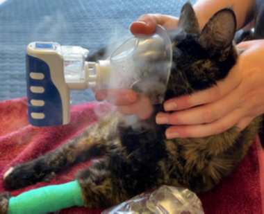 Nebulisation Nebulisation