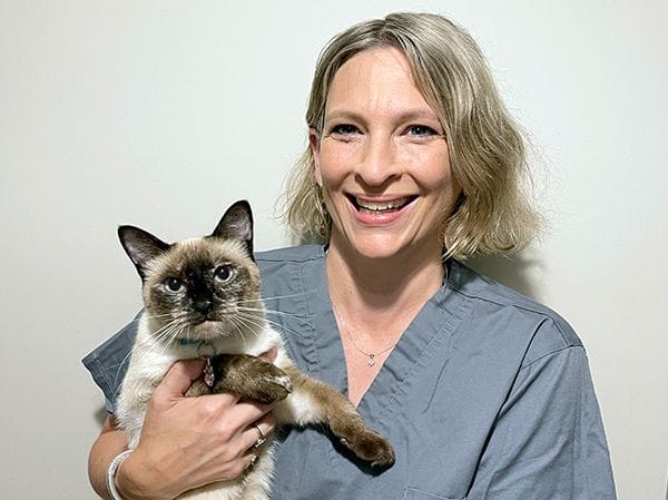 Rachel Korman, Feline Internal Medicine Specialist
