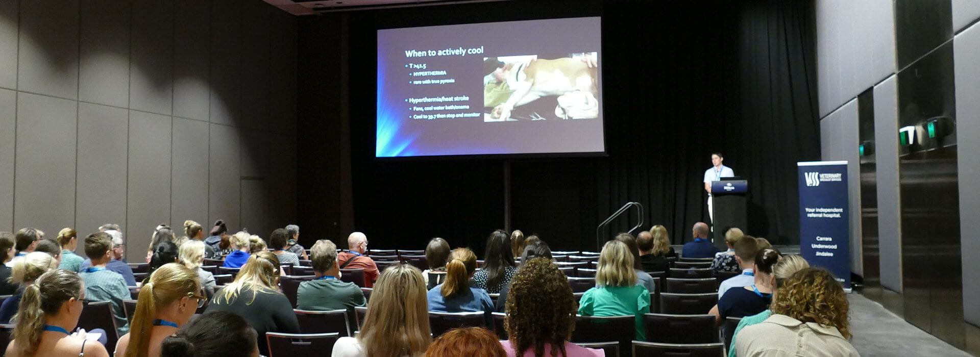 VSS Annual Conference 1617 March 2025 Brisbane