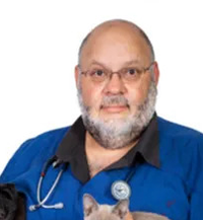 Adj. Prof. Philip Moses, Specialist Small Animal Surgeon at VSS