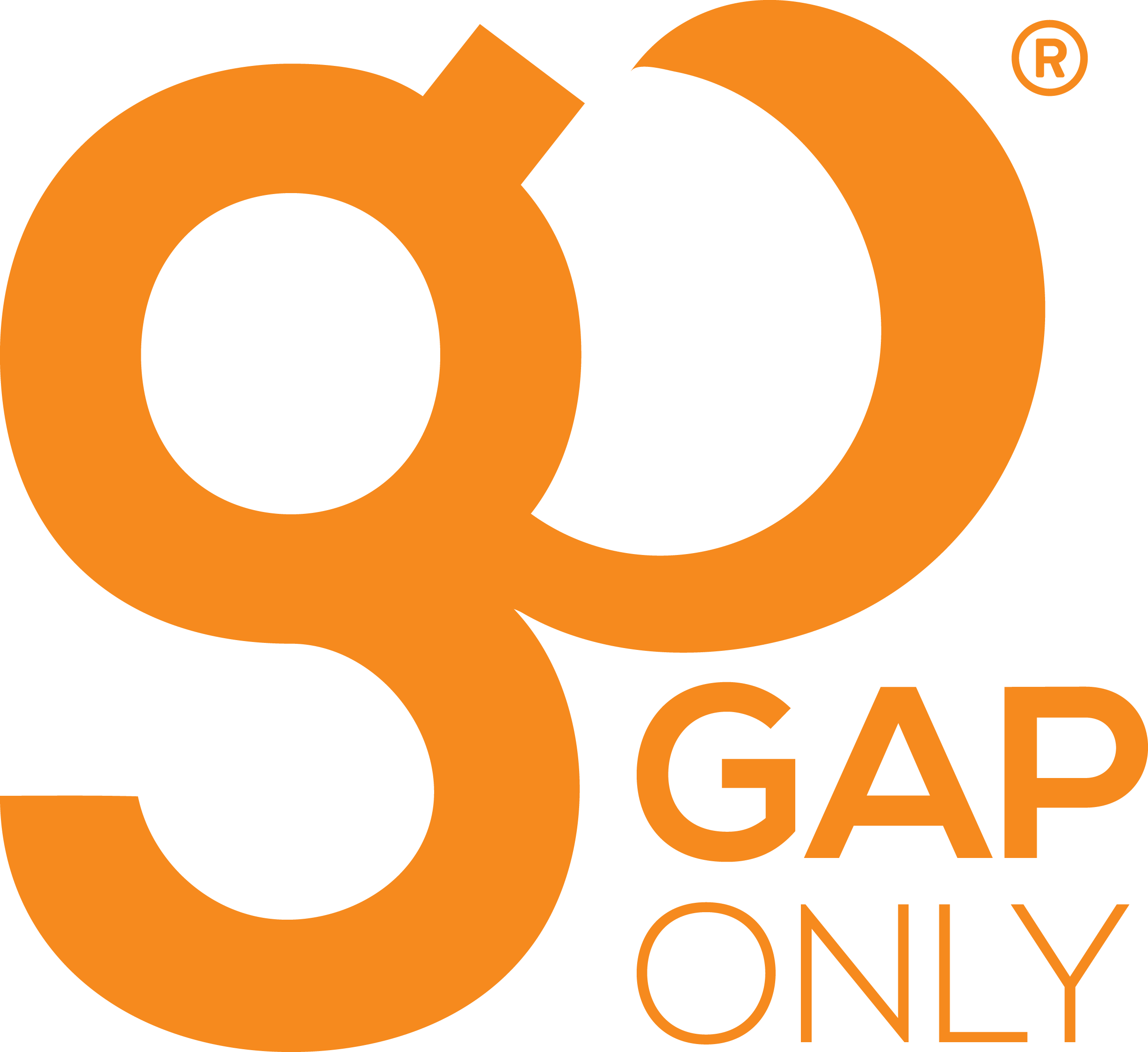 GapOnly | VSS Conference Gold Sponsor