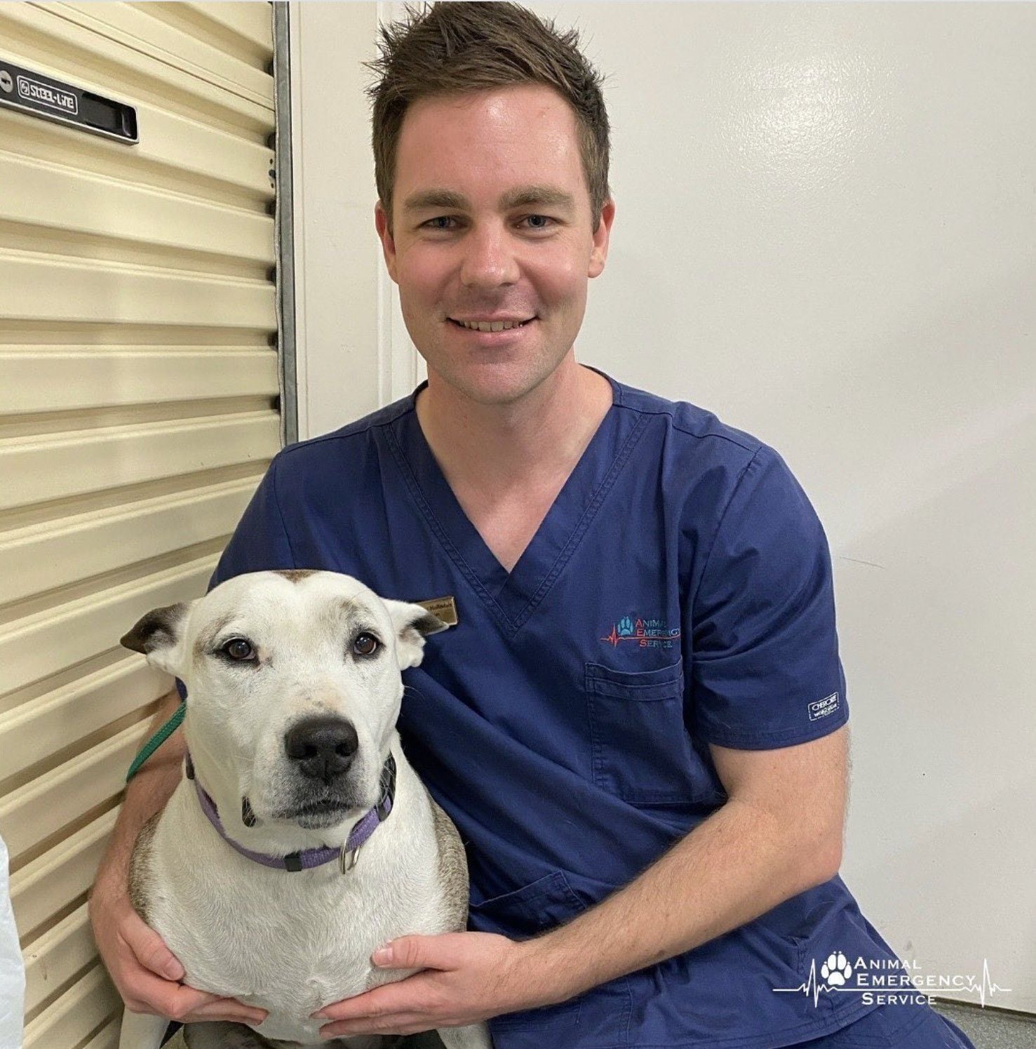 Dr Matt Hollindale Dr Matt Hollindale