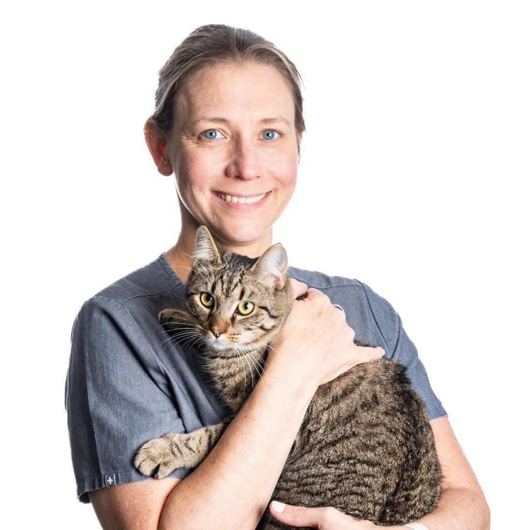 Dr Kieren Maddern Dr Kieren Maddern